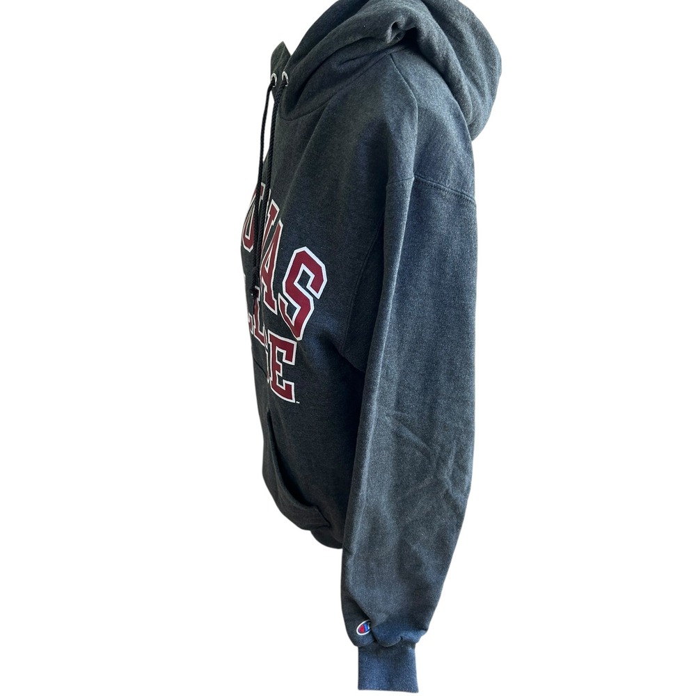 Champion Aquinas College Grand Rapids MI hoodie gray‎ with front hit sz XS - Picture 3 of 5